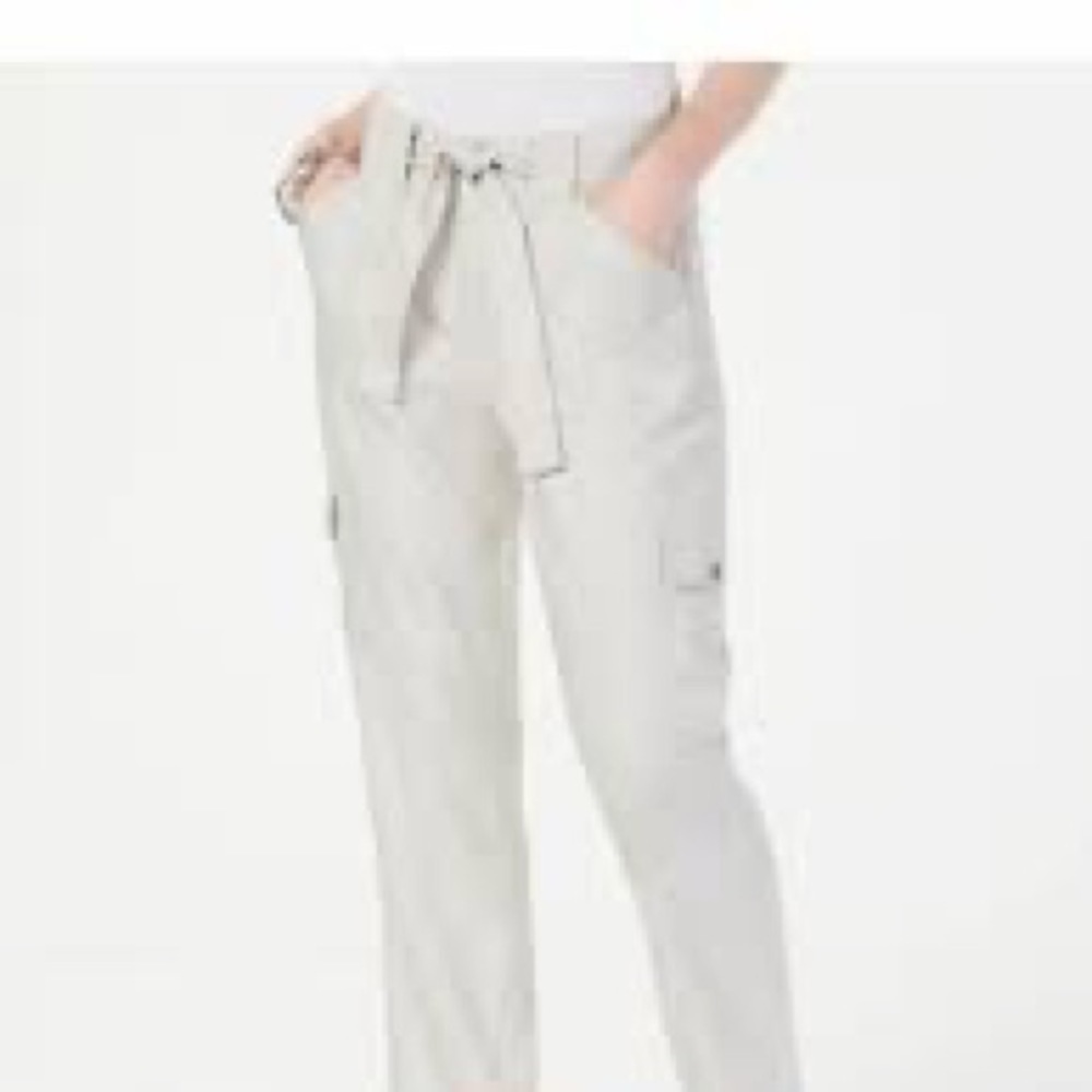 113. NWT INC High Rise Ankle Dark Gray Pants with Belt Size 12